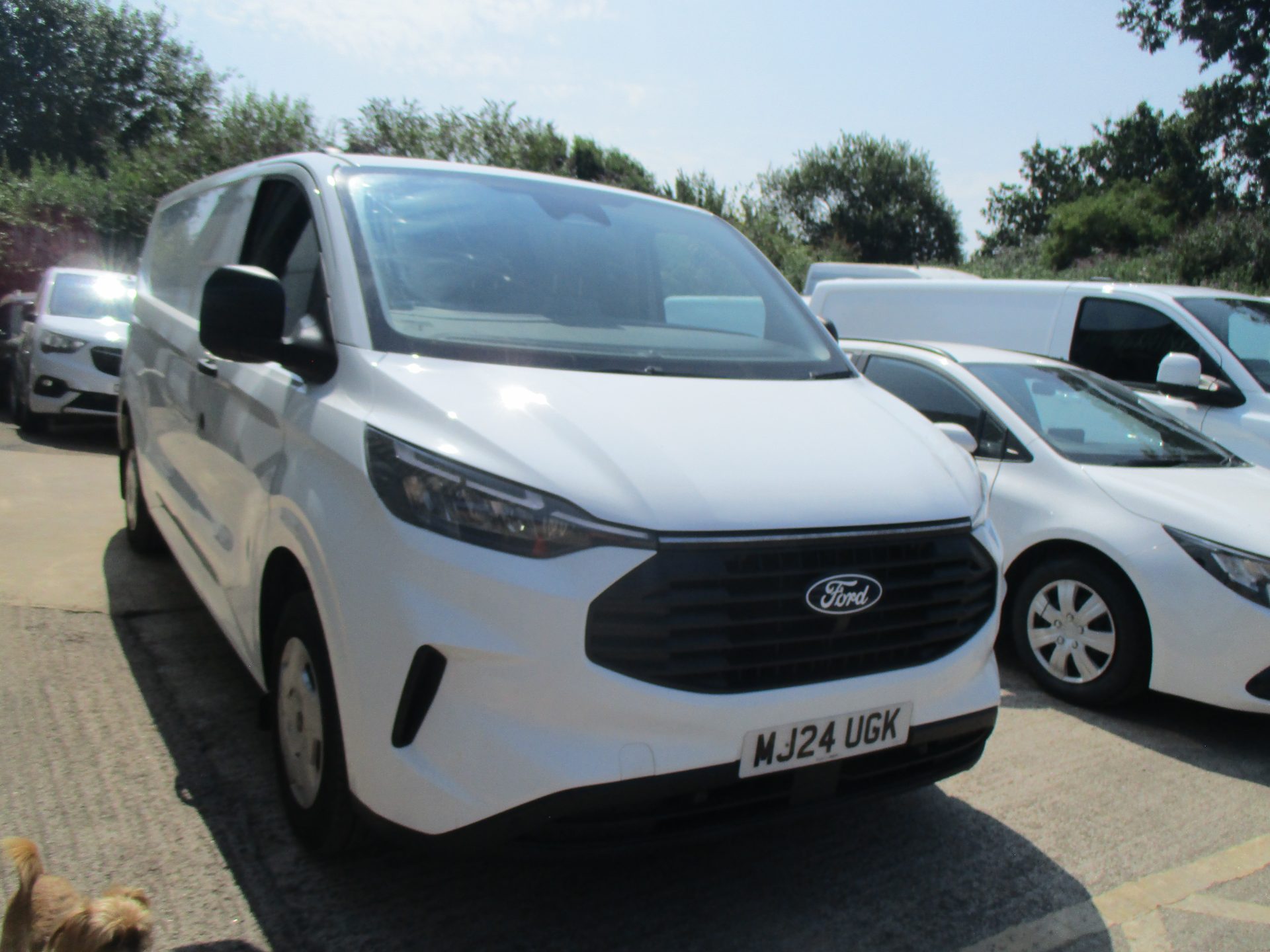 Ford NEW SHAPE CUSTOM TREND 110 BHP