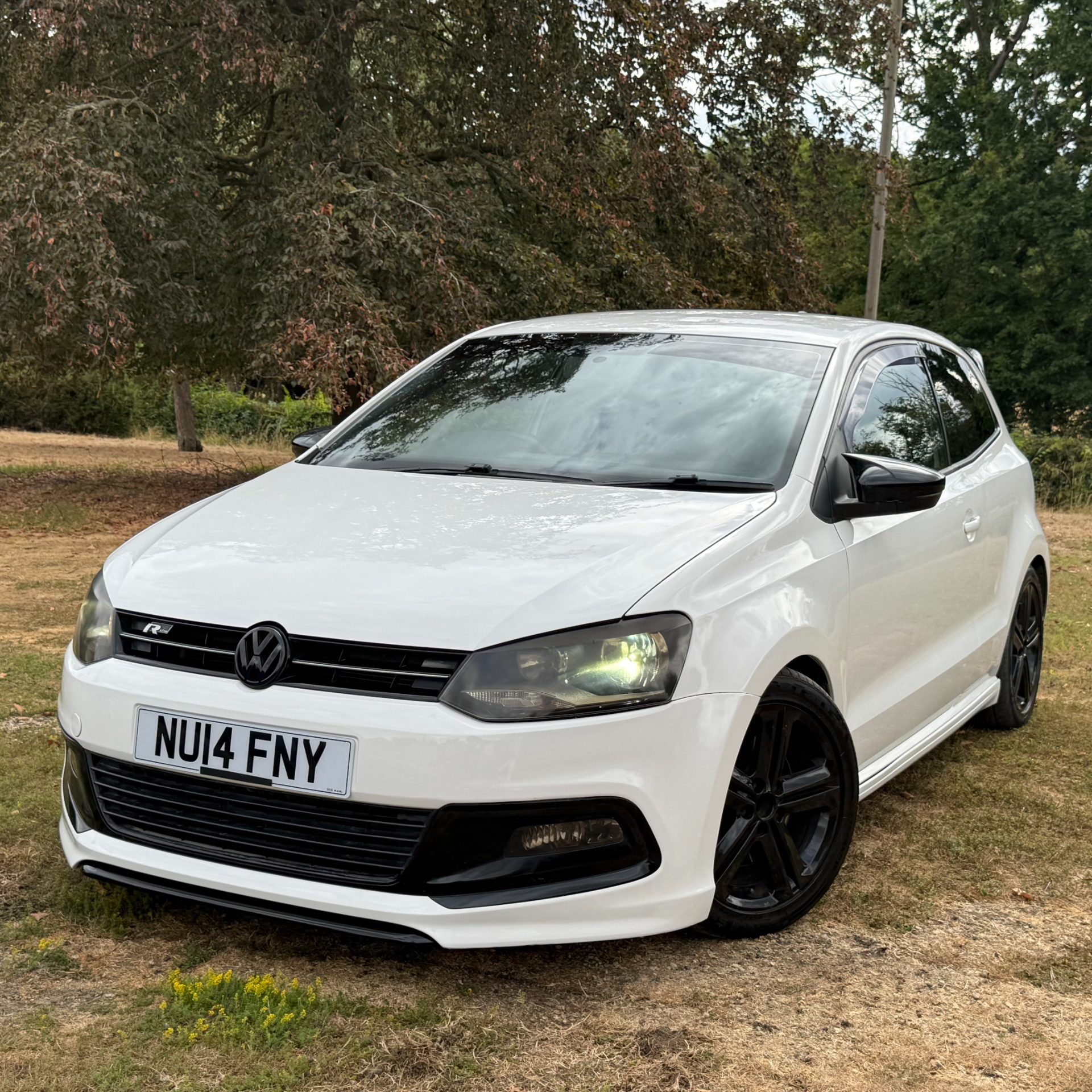 Volkswagen Volkswagen Polo 1.2 TSI R-Line Hatchback 3dr Petrol Manual Euro 5 (105 ps) - Image 3