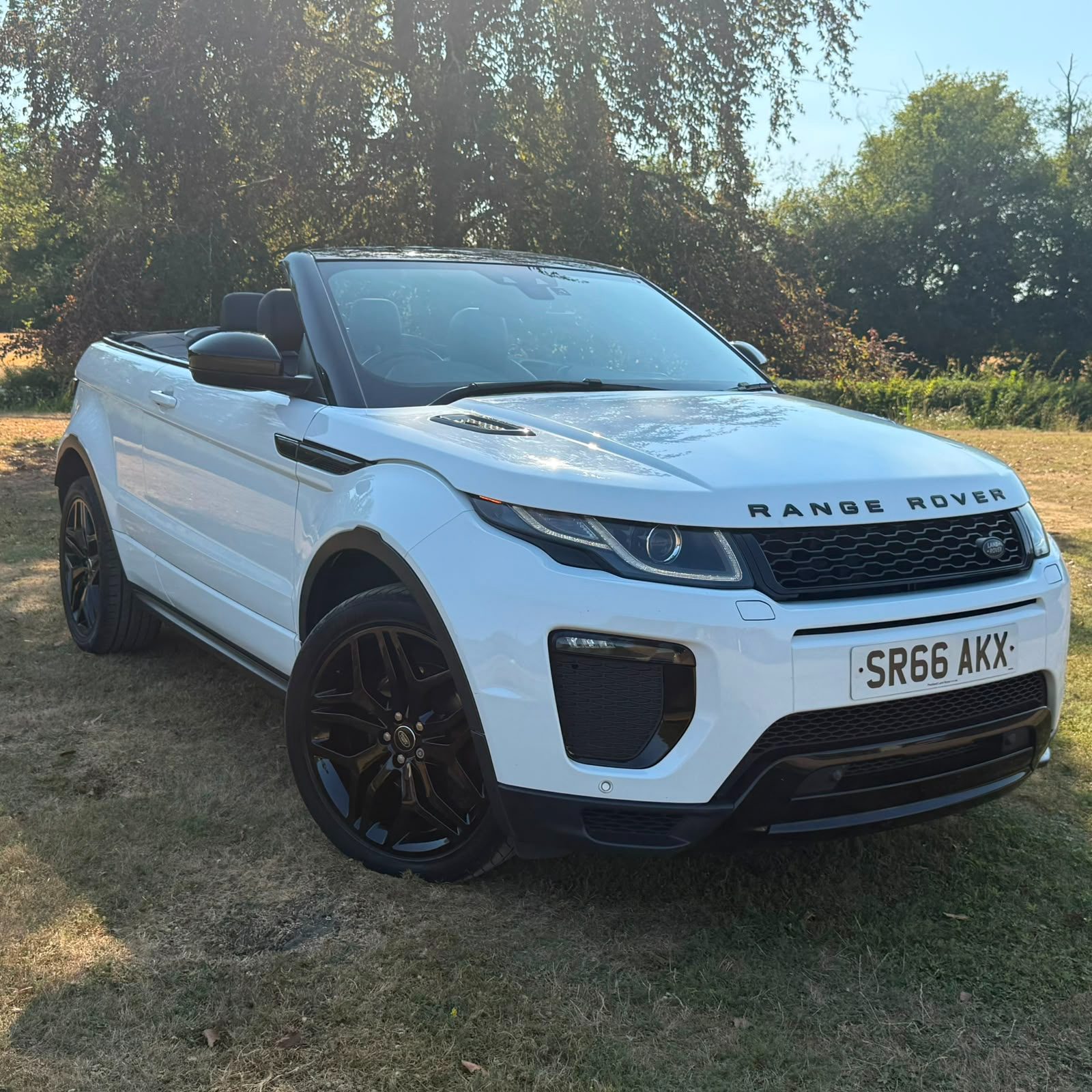 Land Rover Land Rover Range Rover Evoque 2.0 TD4 HSE Dynamic Convertible 2dr Diesel Auto 4WD Euro 6 (s/s) (180 ps) - Image 8