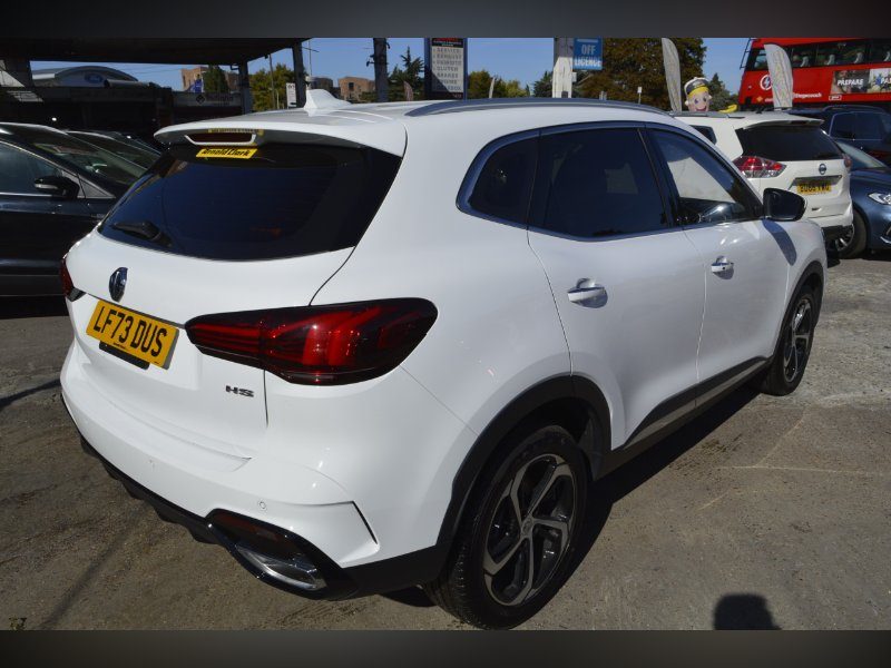 Mg HS - Image 2