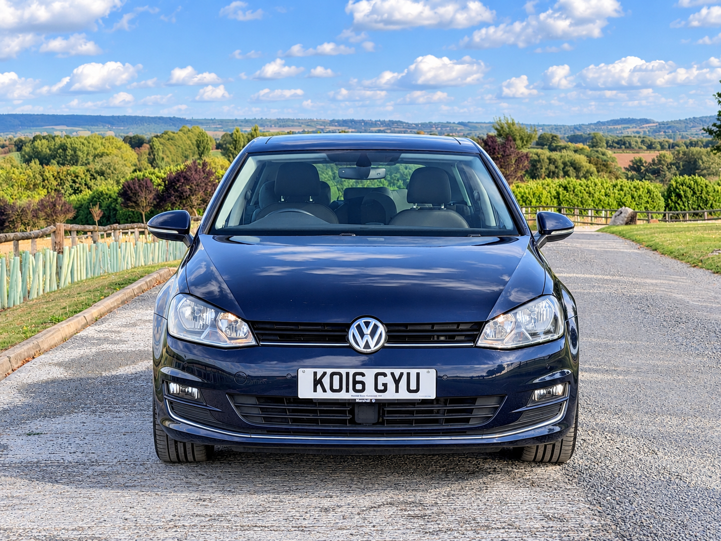 Volkswagen Golf - Image 8