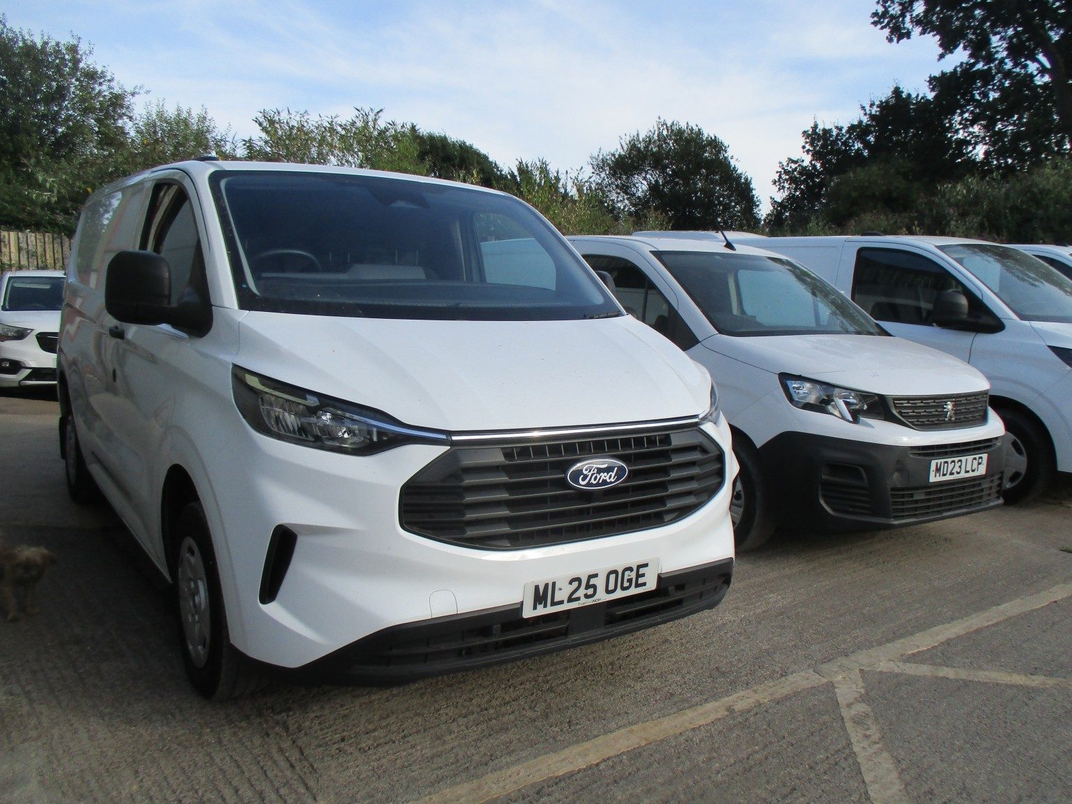 Ford Transit Custom - Image 3